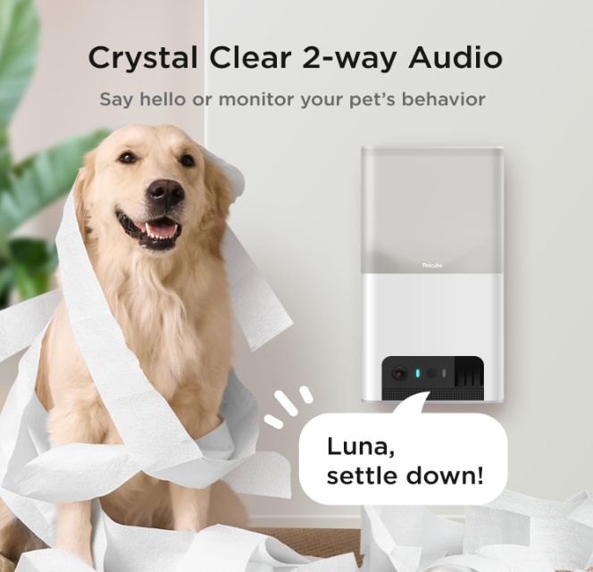 In-Depth Review of Bites 2 Lite Smart Pet Camera