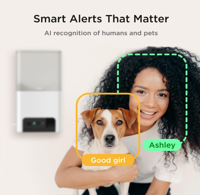 Bites 2 Lite Recognition Functions