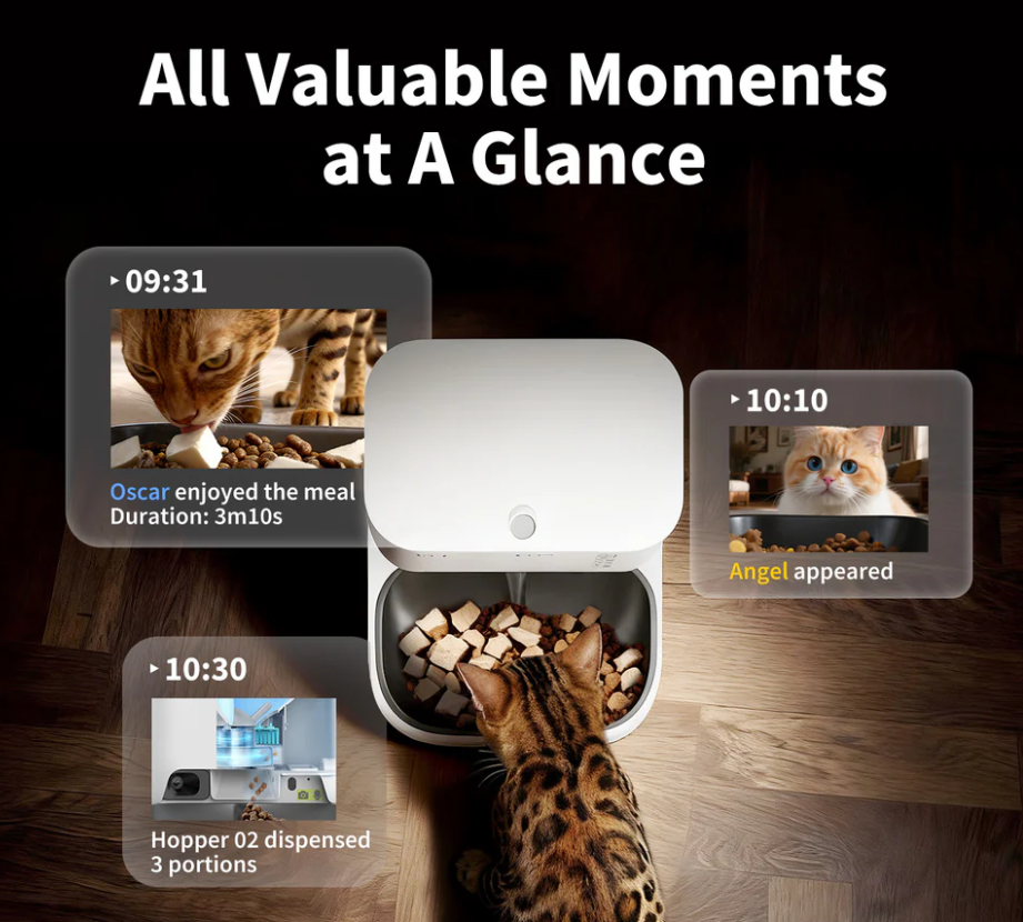 Petkit-Monitoring the Pet's Condition