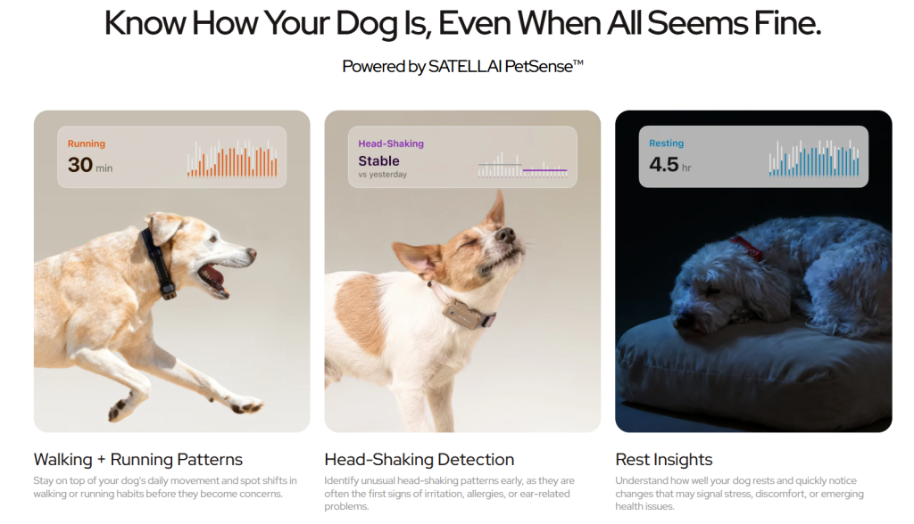 SATELLAI Collar-Data Supports Interconnectivity