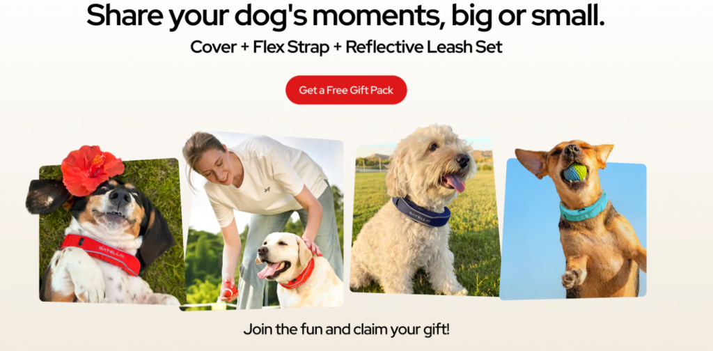 SATELLAI Collar -companion