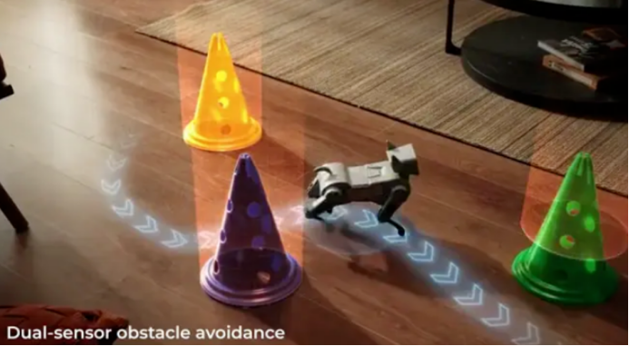 Gogobot D1 Vision System