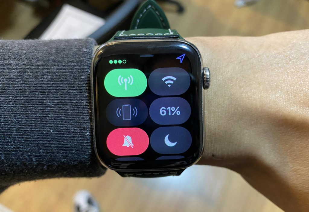 Smart wearable device ecosystem—standalone connectivity will reshape user interaction experiences.