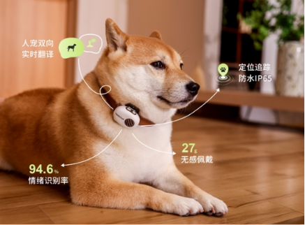 PettiChat AI translator collar on Shiba Inu dog showing 94.6% accuracy badge