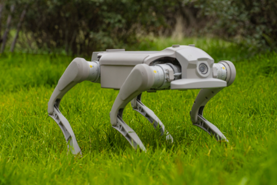 FF EAI robot lineup humanoid and quadruped