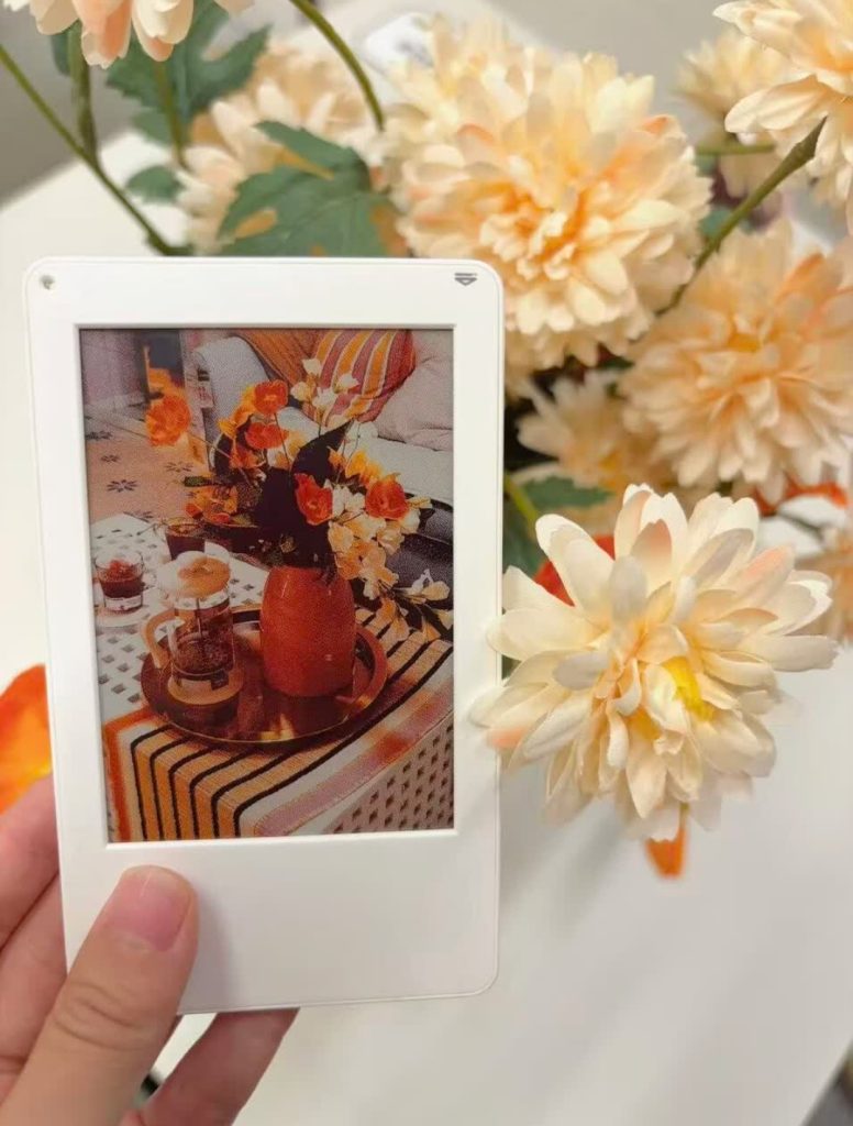 Yantu lenmory reusable E-ink photo card showing flower still life photograph