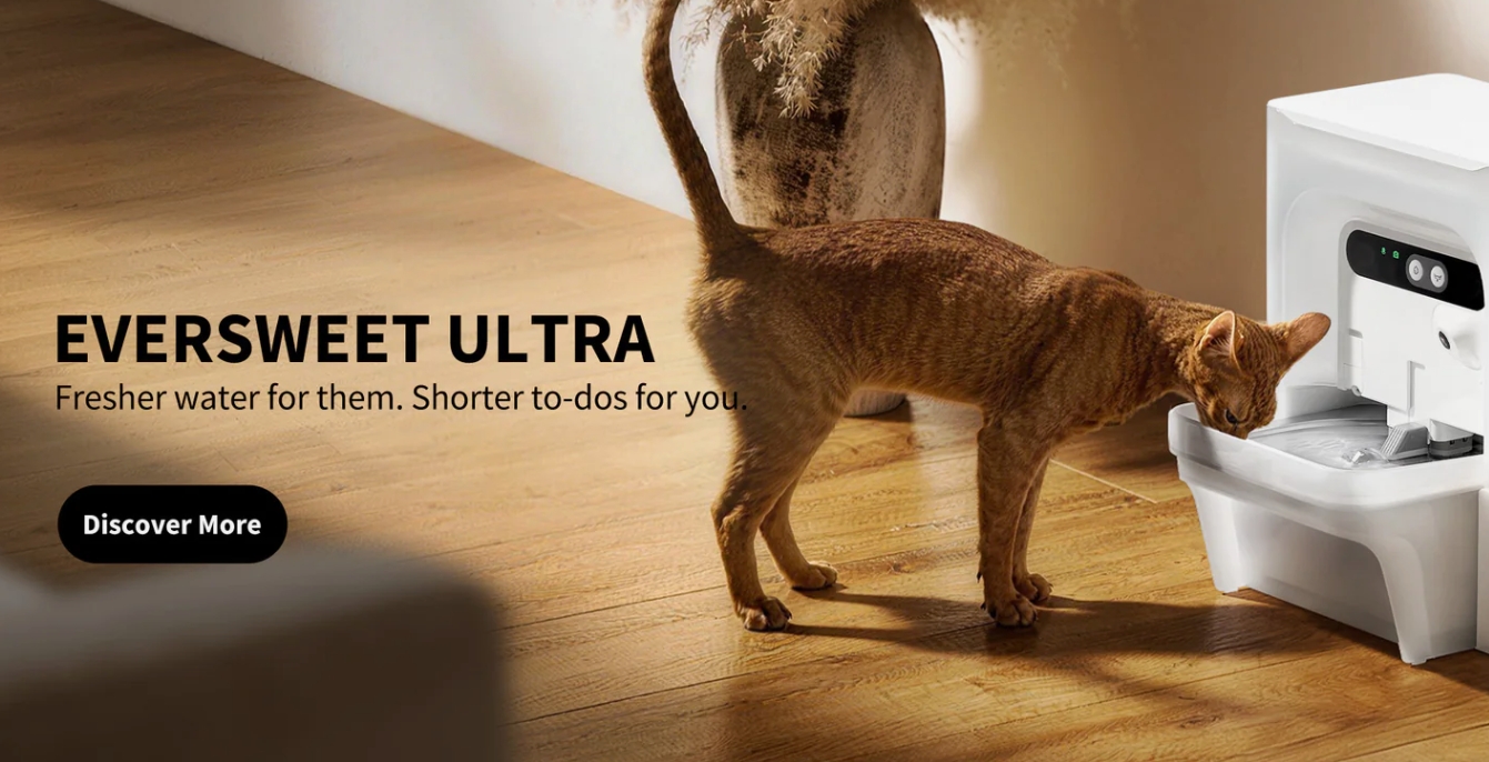 A Must-Have for Multi-Cat Families – Petkit Visual AI Feeder