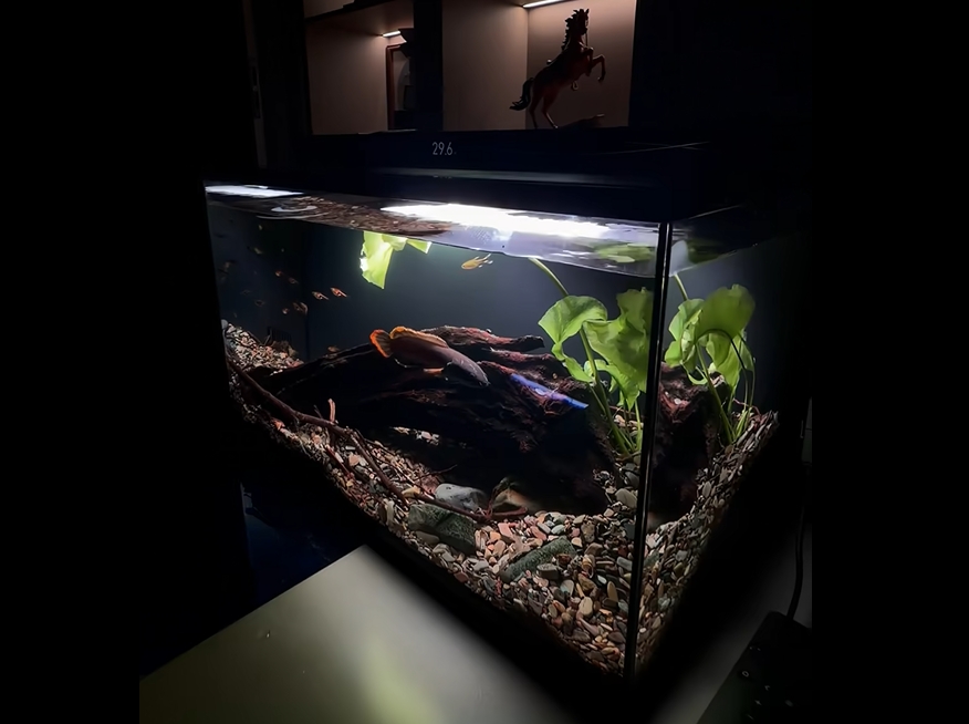 Mijia Smart Fish Tank 2 Pro